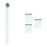 Multipack 25x Philips MASTER Super 80 T5 Short 8W - 830 Warm White | 29cm