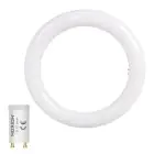 Noxion LED Tube T9 Avant Circular (EM/Direct) 20W 2200lm - 840 Cool White | 40cm - Replaces 40W